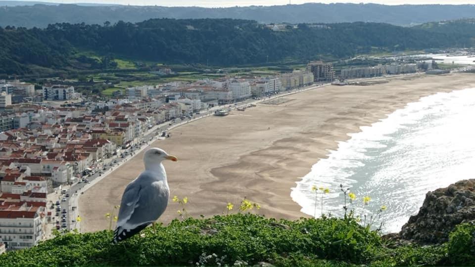 West Coast Dream Nazare Nazaré Exterior foto